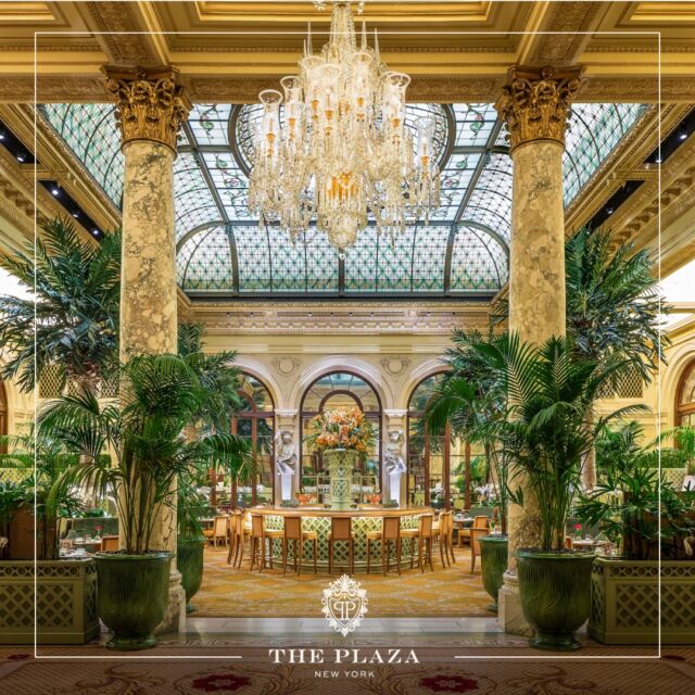 Enjoy an exquisite afternoon tea at the legendary Palm Court of the Plaza New York. Experience the magic & excitement of the vibrant city of New York, while staying at its most iconic hotel, hosting world leaders & celebrities for over 100 years.

استمتع بشاي بعد الظهر في صالة النخيل الأسطورية في فندق بلازا نيويورك. اختبر سحر مدينة نيويورك النابضة بالحياة، خلال إقامتك في فندقها الأكثر شهرة، والذي يستضيف كبار الشخصيات والمشاهير منذ أكثر من 100 عام.